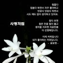 안*경 이미지