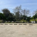 스테이 호꼼만 이미지