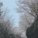 경남 사천 여행 , 비토어촌체험휴양마을
