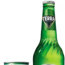 맥주판 머니투데이