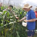 임상호농장 이미지