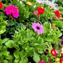 갈현체육공원 이미지