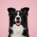 남대천L | 2026. 2월💛