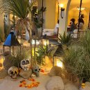 오아이씨 이미지