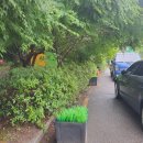 판교로156번길 이미지