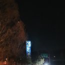 참샘골가든횟집 이미지