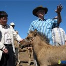 이상기목장 이미지