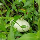 우리펜션민박 이미지