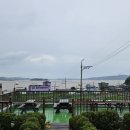 들꽃이 있는 바다 이미지