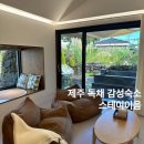 이음B 펜션 | 제주 독채숙소 추천 감성숙소 스테이 이음 B동 프라이빗 자쿠지 후기 주차