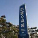 노고성 이미지