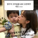 쏨스토리