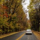 하오개길 이미지