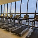 골든타임 핏 이미지