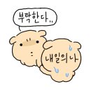 디스베리데이 이미지