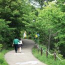 호명호수(갤러리) Daum카페