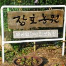 무궁화농원 이미지