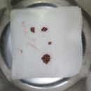 정이룸 동물병원 이미지