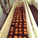 주영농장 이미지