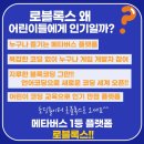 로블록스 루아코딩 이미지