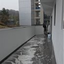 맑은세상 네이버블로그