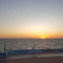 장춘해변횟집 이미지