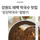 강산막국수 | 시원한 막국수와 함께 여름 대비하기, 태백 맛집 ‘강산막국수’ 탐방기