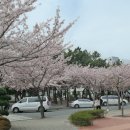부경대학교(대연캠퍼스) 네이버블로그