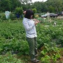 주혜농장 이미지