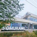 카페논 | 포항 흥해 카페 소무랑 포장 후기 | 논뷰가 예쁜 용곡리 카페