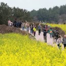 슬로슬로 이미지