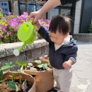 용산-438 이미지