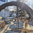 벌말로L | [경기/구리]칼칼한 해장국 구리맛집 진작에 먹어볼걸 제주은희네해장국