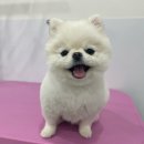 이뻐질개 이미지