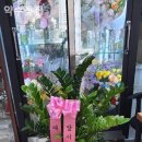 대한꽃집 이미지