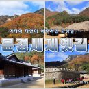 11월2일 토요도보 - 문경새재옛길&마패봉 이미지