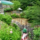 세경대 글로컬문화마을 화장실 | 김해 수안마을 소등껄 수국