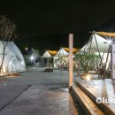 클럽프리모 이미지