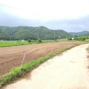 공인농장 이미지