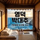 영덕 박대추민박 예약 전 필독: 7만원대 오션뷰 감성숙소 솔직 후기