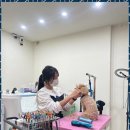 편안한댕 이미지