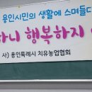 힐링 꽃꽃이 이미지