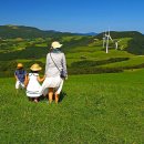 메밀목장 이미지