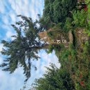 상희목장 이미지