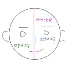 ◎ 대한민국 남녀 얼굴평균 크기& 가장 이쁜 눈의 길이 (그림첨부) 이미지