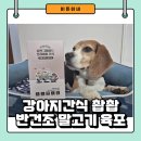 촵촵