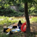 계곡농협주유소 이미지