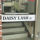 목포중앙여자중학교 | 목포 속눈썹펌 추천 데이지래쉬 블랙틴팅 속눈썹펌 후기