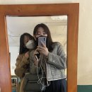 크림데이 네이버블로그