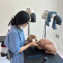 오늘의개스트 이미지